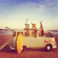 /album/inspiracio/a3a5827b20d04ebfcd6bab7d1a7962c4d-jpg/